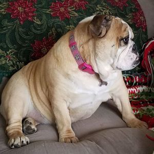 Meet your Posher, Kelli